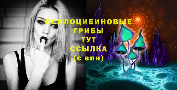 гидра Алексин