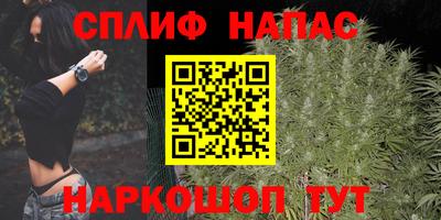 прущие грибы Коммунар