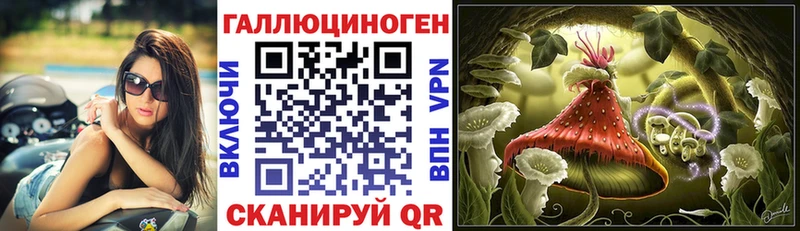 где купить   hydra зеркало  Галлюциногенные грибы Psilocybine cubensis  Мирный 