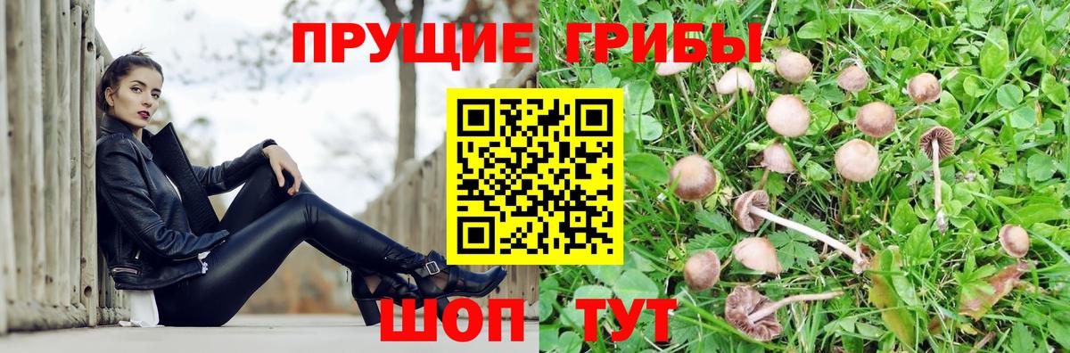 Галлюциногенные грибы мицелий Мирный