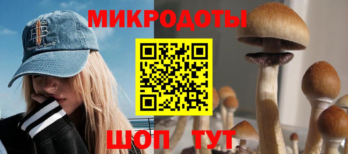 Мирный  Псилоцибиновые грибы мицелий  Вход с VPN 